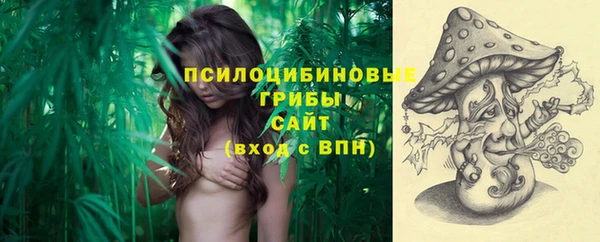 2c-b Алзамай