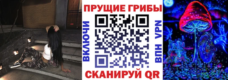 Галлюциногенные грибы прущие грибы  Тверь 